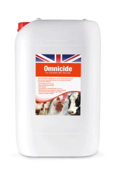 OMNICIDE